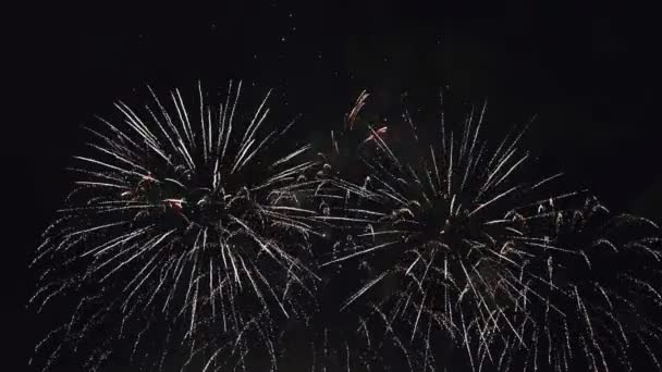 Brillanti scintille di fuochi d'artificio multicolori si mescolano contro il buio cielo notturno — Video Stock