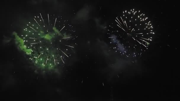 Bright colored fireworks against the dark night sky — Stock Video