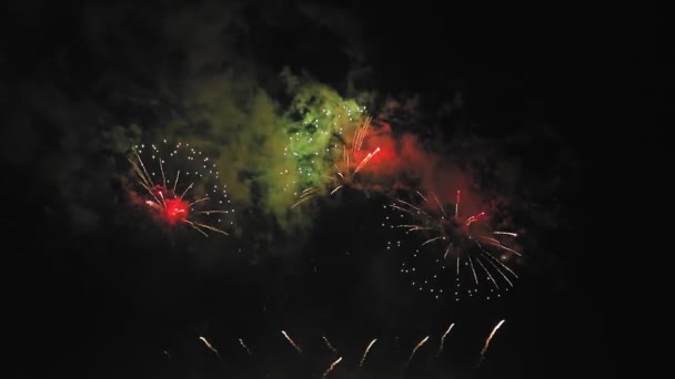 Brilhante magenta fogos de artifício coloridos e rosa contra o céu escuro noite — Vídeo de Stock