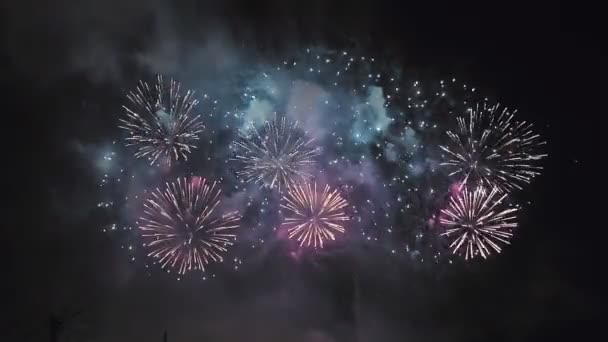 Fuochi d'artificio colorati brillanti si mescolano contro il cielo notturno scuro. — Video Stock