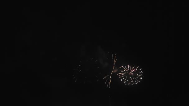 Leuchtend buntes Feuerwerk funkelt gegen den dunklen Nachthimmel. — Stockvideo