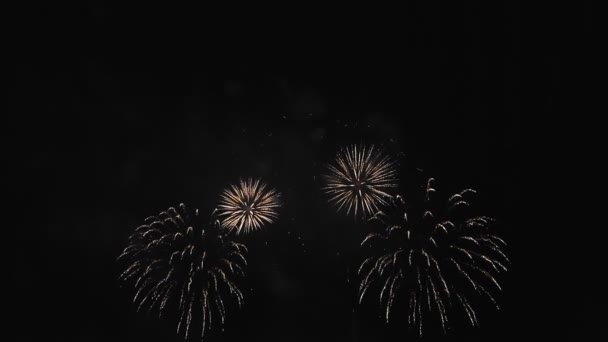 Fogos de artifício coloridos brilhantes contra o céu escuro da noite — Vídeo de Stock