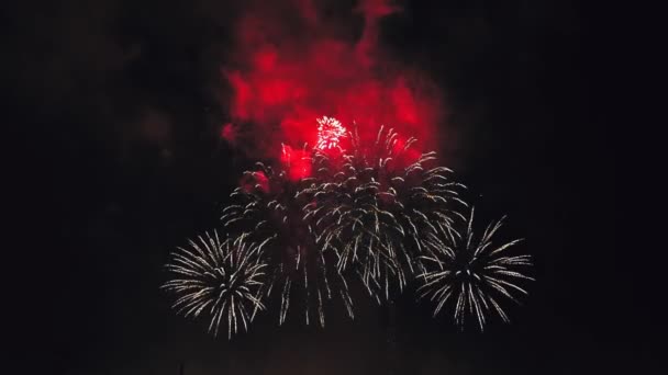 Fogos de artifício diferentes multicoloridos misturam-se no céu escuro da noite. — Vídeo de Stock