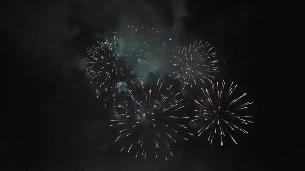 Bright colored fireworks magenta and pink against the dark night sky. — Stock Video
