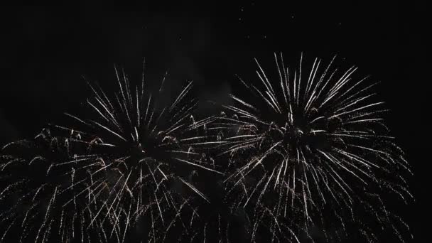 Brillantes fuegos artificiales plateados contra el oscuro cielo nocturno. — Vídeos de Stock