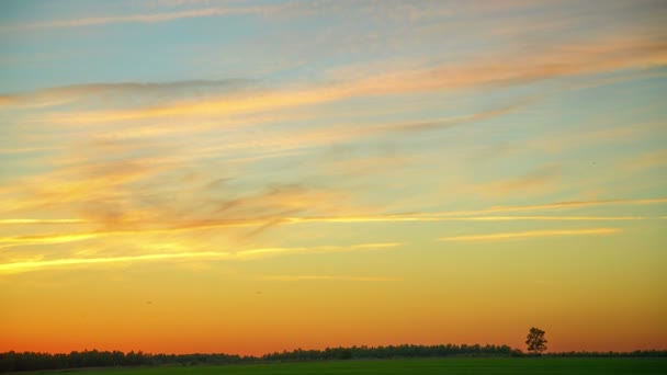 Time-lapse tramonto nel campo, il cielo con le nuvole diventa arancione — Video Stock