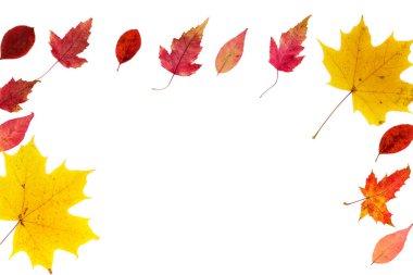 Sonbahar yapraklarından yapılmış çerçeve, turuncu ve sarı ve beyaz arka planda farklı tipler. Yatay fotoğraf