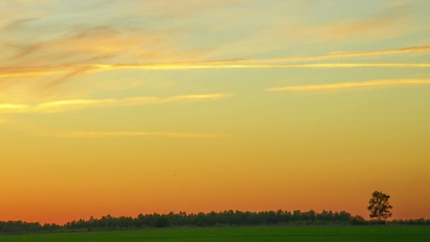 Time-lapse tramonto in un campo, il cielo con le nuvole in esecuzione è dipinto in colore bordeaux — Video Stock