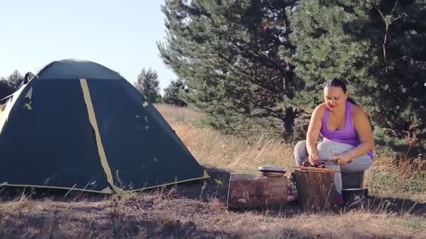 营地靠近帐篷的女人在田里准备食物 — 图库视频影像