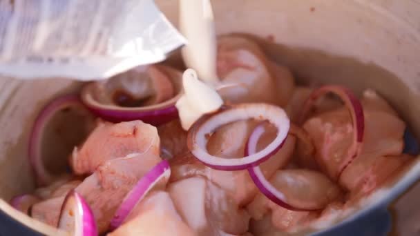 As mãos de mulheres marinam a carne em um pote com temperos e molho de soja — Vídeo de Stock