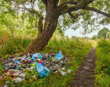Doğa plastiği ve camla dolu bir çöp yığını. Yatay fotoğraf