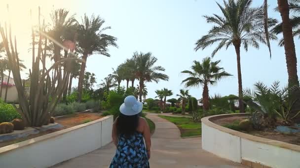 Kobieta w niebieskim kapeluszu i przepasce spaceruje wśród palm daktylowych wzdłuż wybrzeża Morza Czerwonego. Strzał z tyłu — Wideo stockowe