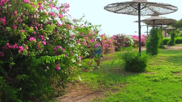 En kvinna i blå hatt och en solklänning går bland bougainvillea längs Röda havets kust en solig dag — Stockvideo