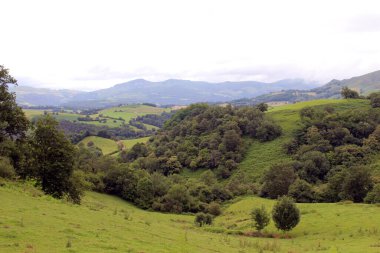 Saint-Jean-Pied-de-Port 'un dışındaki Camino rotasında yeşil tarlaları ve geleneksel evleri olan kır manzarası, Temmuz 2024' te çekildi..