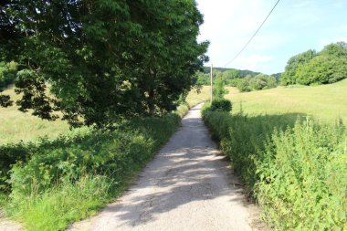 Espinal 'dan ayrıldıktan sonra Navarre, Temmuz 2024' te Camino de Santiago rotası boyunca bir köyü çevreleyen kırsal manzara..