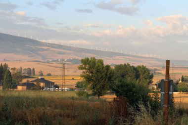 Cizur Menor 'u, Galar, Navarra İspanya' da Camino de Santiago boyunca bir ayçiçeği çiftliğiyle bırakarak. Temmuz 2024