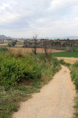 Camino de Santiago boyunca Muruzabal 'dan Obanos' a uzanan toprak yolu Navarra İspanya Temmuz 2024 'te buğday tarlalarıyla kaplı.