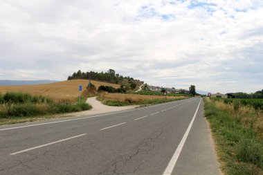 Puente la Reina 'ya girerken Camino de Santiago boyunca tarihi binalarla İspanya Temmuz 2024