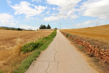 Maneru 'dan sonra Iconic Camino de Santiago manzarası Navarra İspanya Temmuz 2024
