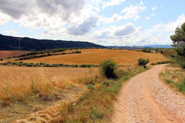 Camino de Santiago boyunca Estella Lorca Navarra İspanya Temmuz 2024 'e doğru kirli bir yolda Cirauqui' den ayrılıyor.