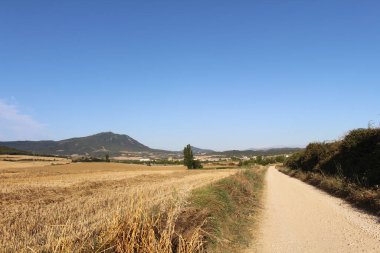 Navarra İspanya 'da Camino de Santiago Frances üzerinde Villatuerta' ya doğru giden toprak yol Temmuz 2024