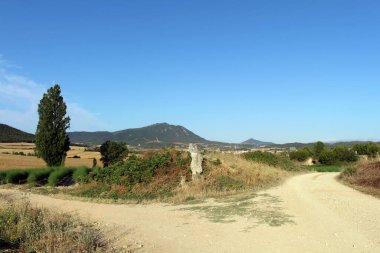 Camino de Santiago Frances Navarra üzerinden Villatuerta 'ya yaklaşan toprak yolda hacı yolu Temmuz 2024