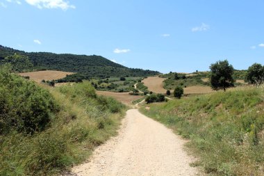 Navarra İspanya 'da Camino de Santiago Frances üzerinde buğday çiftliği ve toprak patika Temmuz 2024