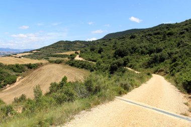 Navarra İspanya 'da Camino de Santiago Frances üzerinde buğday çiftliği ve toprak patika Temmuz 2024