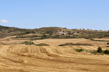 Navarra İspanya 'da Camino de Santiago Frances üzerinde Los Arcos' a giden buğday tarlaları Temmuz 2024