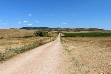 İspanya 'da Camino de Santiago Frances üzerinde Los Arcos' a giden yolun her iki tarafında buğday tarlaları olan toprak patika. Temmuz 2024