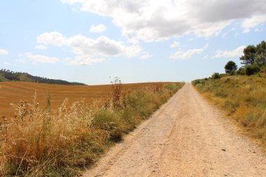 Navarra İspanya 'da Camino de Santiago Frances, Los Arcos' a giden yolda her iki taraftaki buğday tarlalarının olduğu toprak yolu. Temmuz 2024