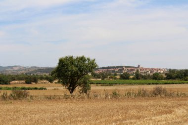 Navarra İspanya 'da Camino de Santiago Frances üzerinde Viana' dan ayrılan buğday tarlalarında toprak izleri Temmuz 2024