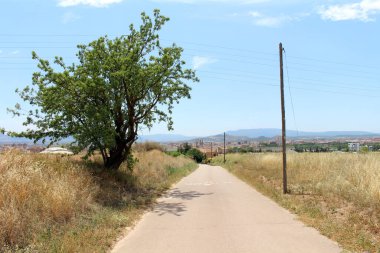 Navarra La Rioja İspanya yakınlarındaki Camino de Santiago Frances 'da Logrono' nun kilise kulelerine bakan toprak yol Temmuz 2024