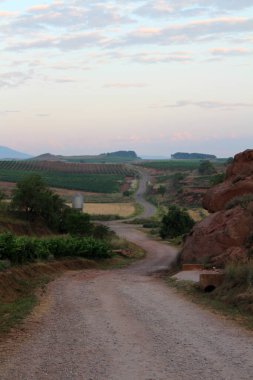 Sabahın erken saatlerinde Najera ve Azofra arasında Camino rotasında kırsal toprak patikalı buğday tarlası ve sıcak gündoğumu gökyüzü içeren manzara Temmuz 2024