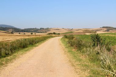 Azofra La Rioja İspanya yakınlarındaki açık mavi gökyüzünün altında buğday tarlaları ve ayçiçeği çiftlikleriyle çevrili toprak yol Temmuz 2024