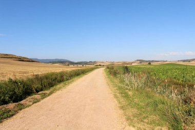 Azofra La Rioja İspanya yakınlarındaki açık mavi gökyüzünün altında buğday tarlaları ve ayçiçeği çiftlikleriyle çevrili toprak yol Temmuz 2024