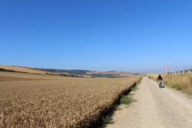 Camino Frances yolundan Batıya, Belorado 'ya doğru giden çiftlik arazisi Temmuz 2024