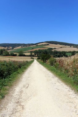 Espinosa del Camino 'dan batıya Villafranca Montes de Oca' ya doğru giden kırsal bir patika boyunca yürüyordu. Temmuz 2024
