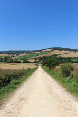 Altın buğday çiftliği açık yaz gökyüzü altında Camino boyunca Villafranca Montes de Oca 'ya doğru Temmuz 2024