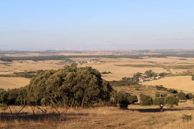 Temmuz 2024 'te Atapuerca' dan Burgos 'a yürüyen hacılar buğday tarlalarını, yel değirmenlerini, samanlarını ve uzak bir sanayi bölgesini geçtiler.