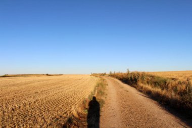 Temmuz 2024 'te Rabe de las Calzadas' dan deniz tarağı kabuğu sembolüyle ayrılan kırsal yol.