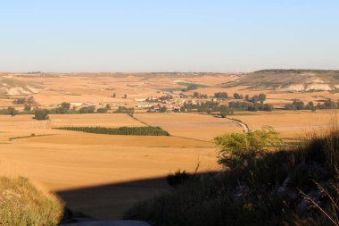 Temmuz 2024 'te Hornillos del Camino' ya uzaklardan yaklaşan buğday tarlaları boyunca köy binaları