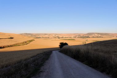 Temmuz 2024 'te Hornillos del Camino' nun uzak görüntüsü kırsal ufuk çizgisi ve Camino yolu