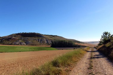Temmuz 2024 'te Hornillos del Camino' dan Hontanas 'a doğru yola çıktı.