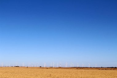 Temmuz 2024 'te Hornillos del Camino' dan Hontanas 'a doğru yeldeğirmeni ve buğday çiftliğine doğru yola çıktı.