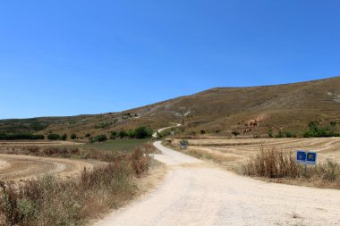 Temmuz 2024 'te Castrojeriz' den Alto de Mostelares 'e çıkan hacılar kırsal kesimde