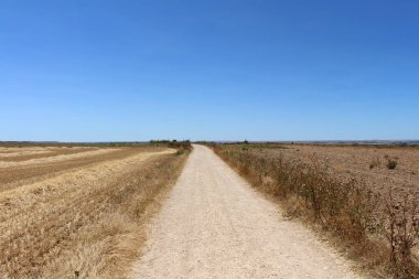 Temmuz 2024 'te Castrojeriz' den Itero de la Vega 'ya kadar uzun toprak yol kuru güneşli Meset