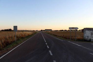 Itero de la Vega 'dan Boadilla del Caminoin' e kadar güneşli patika Temmuz 2024 açık kırsal ve geniş ufuk