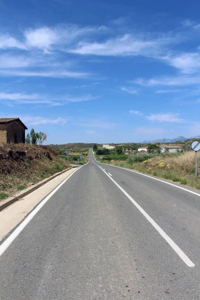Viana 'dan Logrono' ya doğru giden ana yol Camino de Santiago Frances, İspanya Temmuz 2024