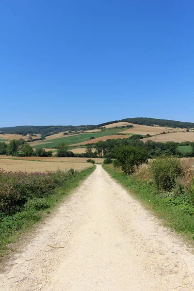 Altın buğday çiftliği açık yaz gökyüzü altında Camino boyunca Villafranca Montes de Oca 'ya doğru Temmuz 2024